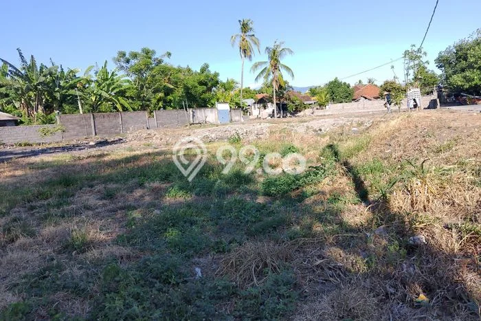 Tanah Dijual Area Strategis di Lovina Buleleng 635m2 Tanah Dijual Area Strategis di Lovina Buleleng 635m2