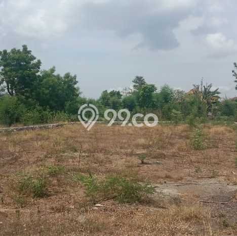 Tanah Kavling untuk Dijual di Gerokgak Buleleng 1000m2 Tanah Kavling untuk Dijual di Gerokgak Buleleng 1000m2