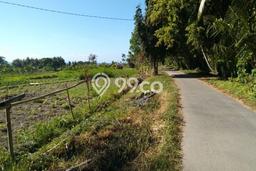 Tanah Dijual Lokasi Subagan, Karangasem Luas 1000m2 Legalitas Aman Tanah Dijual Lokasi Subagan, Karangasem Luas 1000m2 Legalitas Aman