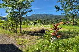 Kavling Tanah untuk Dijual di Panji, Buleleng, Luas 1045m2 Kavling Tanah untuk Dijual di Panji, Buleleng, Luas 1045m2