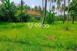 Tanah Dijual Lokasi Strategis di Buleleng dengan Luas 300m2 Tanah Dijual Lokasi Strategis di Buleleng dengan Luas 300m2