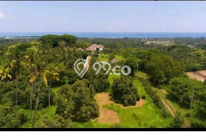 Tanah Kavling Dijual di Buleleng dengan Spesifikasi 5000m2 Tanah Kavling Dijual di Buleleng dengan Spesifikasi 5000m2