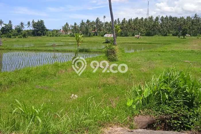 Untuk Dijual Tanah di Buleleng, Luas 3800m2 SHM Untuk Dijual Tanah di Buleleng, Luas 3800m2 SHM