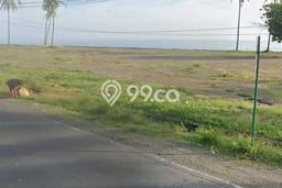 Untuk Dijual Tanah 6900m2 di Singaraja, Buleleng Untuk Dijual Tanah 6900m2 di Singaraja, Buleleng