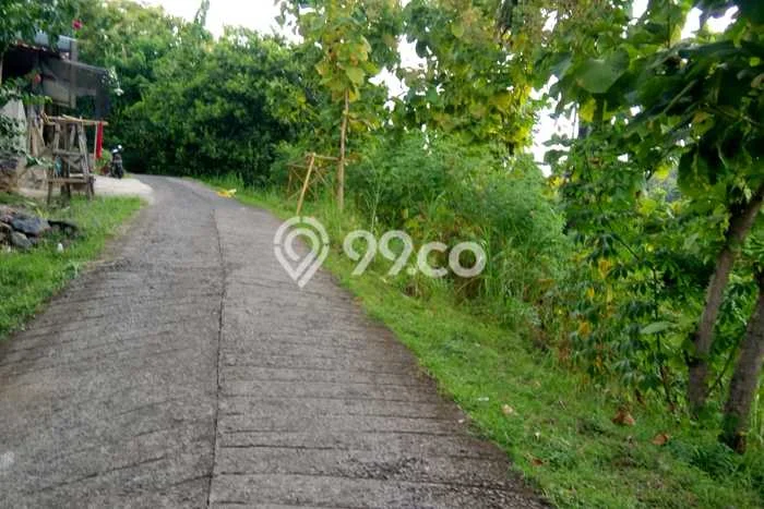 Dijual Tanah Lokasi Lovina, Buleleng Seluas 1000m2 Dijual Tanah Lokasi Lovina, Buleleng Seluas 1000m2