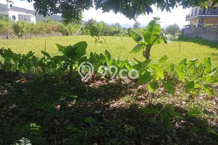 Tanah Kavling Dijual di Buleleng dengan Spesifikasi 1400m2 Tanah Kavling Dijual di Buleleng dengan Spesifikasi 1400m2