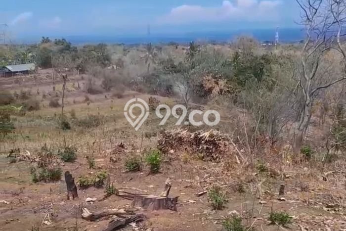 Dijual Tanah Lokasi Lovina, Buleleng Seluas 2000m2 Dijual Tanah Lokasi Lovina, Buleleng Seluas 2000m2