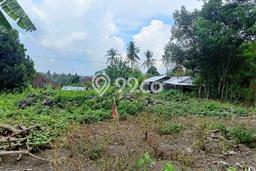 Tanah Kavling Dijual di Lovina, Buleleng dengan Luas Tanah 500m2 Tanah Kavling Dijual di Lovina, Buleleng dengan Luas Tanah 500m2