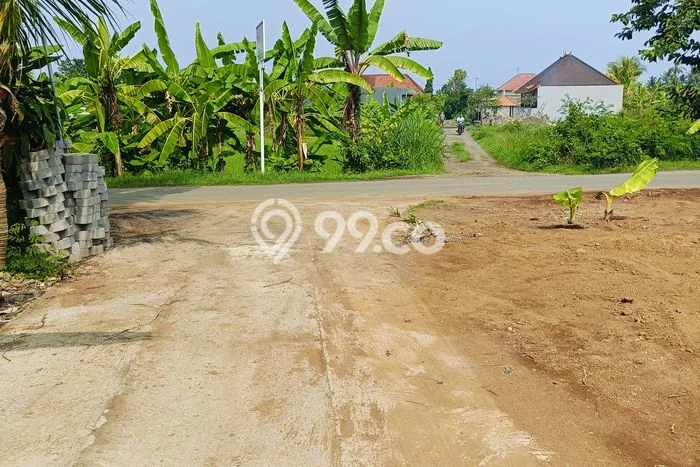 Dijual Tanah Lokasi Lovina, Buleleng Seluas 482m2 Dijual Tanah Lokasi Lovina, Buleleng Seluas 482m2