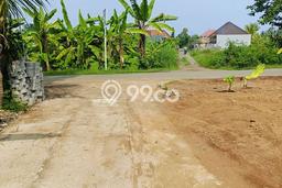 Dijual Tanah Lokasi Lovina, Buleleng Seluas 482m2 Dijual Tanah Lokasi Lovina, Buleleng Seluas 482m2