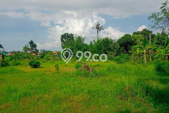 Tanah Premium di , Luas 2800m2m², Dekat Buleleng, Buleleng Tanah Premium di , Luas 2800m2m², Dekat Buleleng, Buleleng