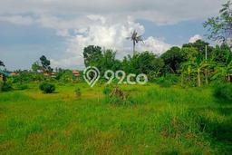 Kavling Tanah untuk Dijual di Kaliasem, Buleleng, Luas 2800m2 Kavling Tanah untuk Dijual di Kaliasem, Buleleng, Luas 2800m2