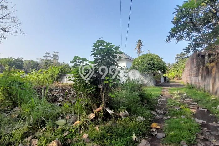 Dijual Tanah Lokasi Prima Kawasan Lovina, Luas 370m2m², Akses Lovina, Buleleng, Buleleng Dijual Tanah Lokasi Prima Kawasan Lovina, Luas 370m2m², Akses Lovina, Buleleng, Buleleng