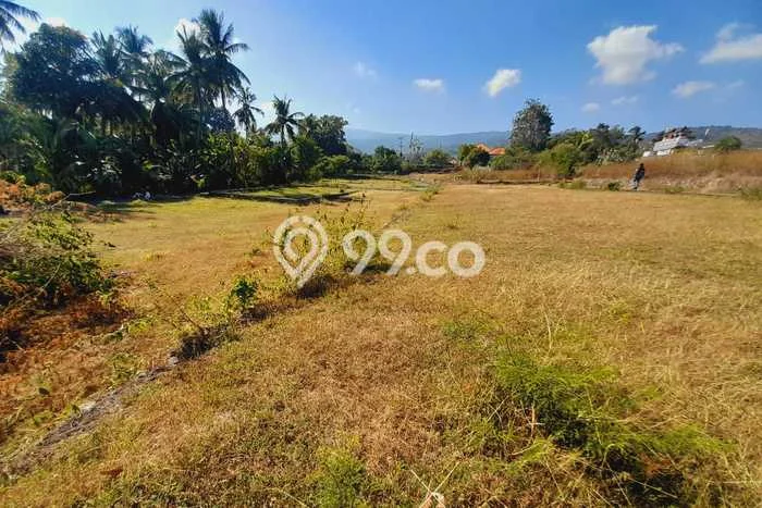 Tanah Investasi Dijual di Buleleng Punya Luas 200m2 Tanah Investasi Dijual di Buleleng Punya Luas 200m2