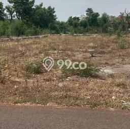 Tanah di Gerokgak, Buleleng Luas 1000m2 Dijual Segera Tanah di Gerokgak, Buleleng Luas 1000m2 Dijual Segera