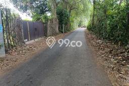 Tanah Kavling Dijual di Lovina, Buleleng dengan Luas Tanah 1950m2 Tanah Kavling Dijual di Lovina, Buleleng dengan Luas Tanah 1950m2