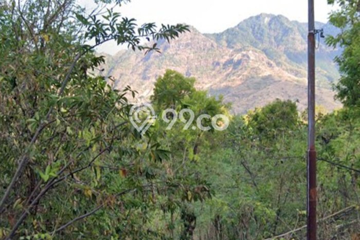 Lahan Kosong Dijual di Gerokgak, Buleleng, Luas 1000m2 Area Strategis Lahan Kosong Dijual di Gerokgak, Buleleng, Luas 1000m2 Area Strategis