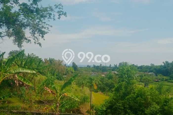 Lahan Dijual Lokasi Strategis di Buleleng dengan Luas 1200m2 Lahan Dijual Lokasi Strategis di Buleleng dengan Luas 1200m2