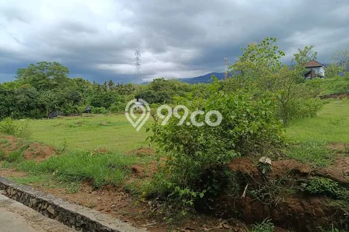 Dijual Tanah Lokasi Anturan, Buleleng Seluas 2900m2 Dijual Tanah Lokasi Anturan, Buleleng Seluas 2900m2