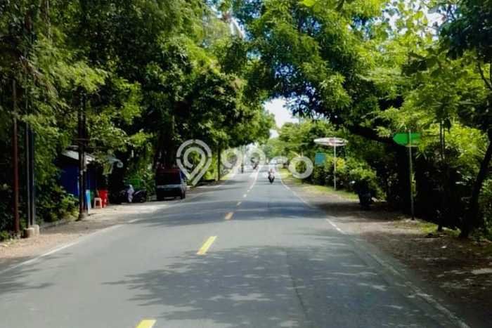 Tanah Strategis Dijual di Kubutambahan Buleleng 960m2 Tanah Strategis Dijual di Kubutambahan Buleleng 960m2