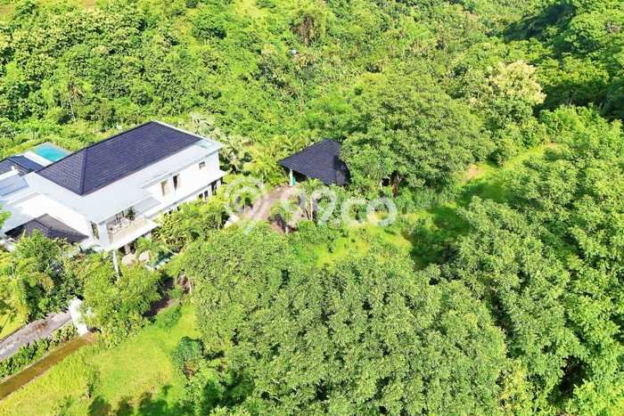Tanah Investasi Dijual di Buleleng Punya Luas 4330m2 Tanah Investasi Dijual di Buleleng Punya Luas 4330m2
