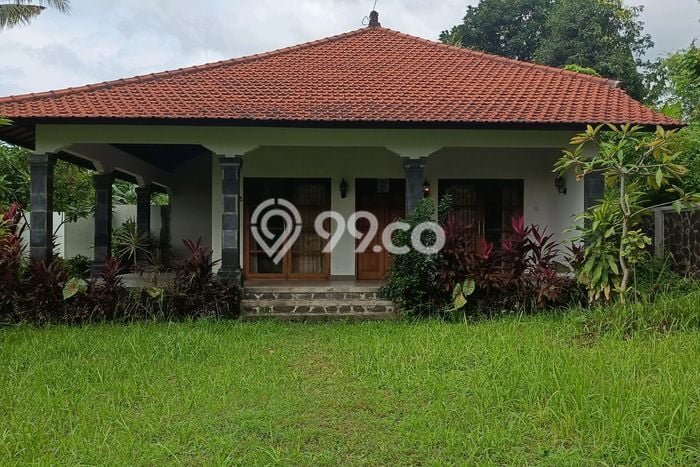 Dijual Hunian Rumah Terawat 2 KT di Lovina, Buleleng Dijual Hunian Rumah Terawat 2 KT di Lovina, Buleleng
