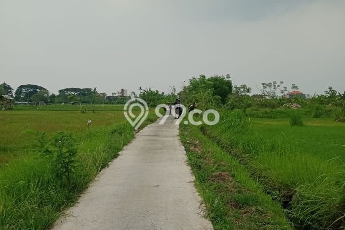 Tanah Kawasan Lovina, Luas 470m², Akses Pusat Kota, Potensi Bagus Tanah Kawasan Lovina, Luas 470m², Akses Pusat Kota, Potensi Bagus
