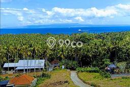 Tanah Dijual Lokasi Candi Dasa, Karangasem Luas 509m2 Legalitas Aman Tanah Dijual Lokasi Candi Dasa, Karangasem Luas 509m2 Legalitas Aman