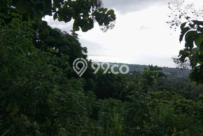 Dijual Tanah Lokasi Lovina, Buleleng Seluas 1000m2 Dijual Tanah Lokasi Lovina, Buleleng Seluas 1000m2