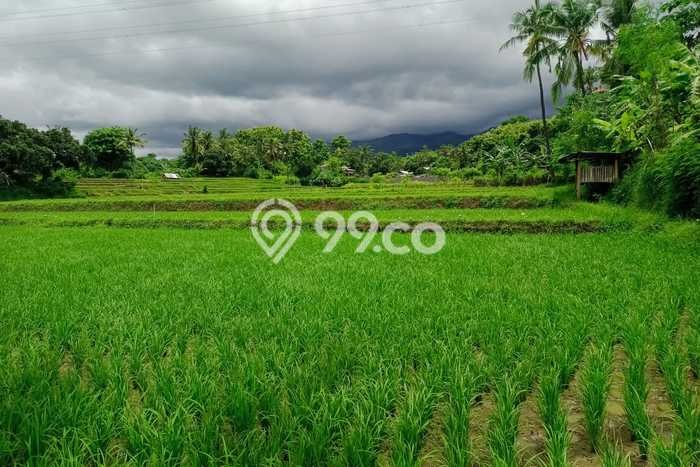 HARGA TERBAIK! Tanah Kawasan Lovina, Luas 600m², Dekat Jalan Utama, Cocok untuk Investasi HARGA TERBAIK! Tanah Kawasan Lovina, Luas 600m², Dekat Jalan Utama, Cocok untuk Investasi