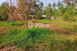 Tanah Siap Bangun Dijual di Buleleng Punya Luas 9100m2 Tanah Siap Bangun Dijual di Buleleng Punya Luas 9100m2
