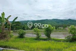 Dijual Tanah 220m2 di Lovina, Buleleng Dijual Tanah 220m2 di Lovina, Buleleng