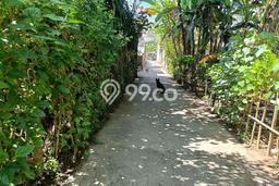 Untuk Dijual Tanah 480m2 di Kaliasem, Buleleng Untuk Dijual Tanah 480m2 di Kaliasem, Buleleng