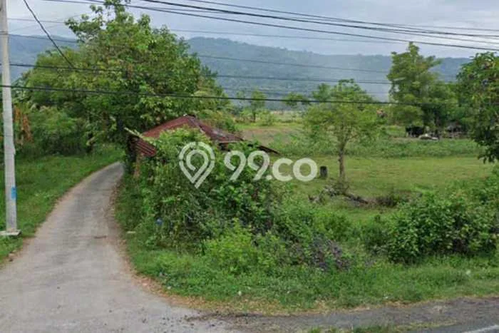 Untuk Dijual Tanah di Buleleng, Luas 8400m2 SHM Untuk Dijual Tanah di Buleleng, Luas 8400m2 SHM
