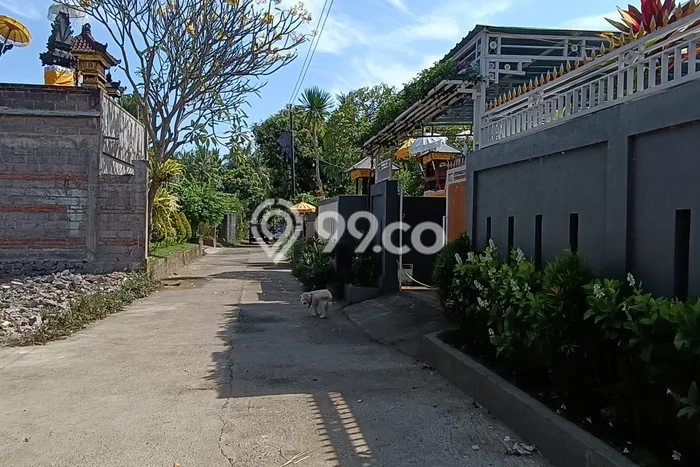Hunian Nyaman Asri 3 KT Siap Huni di Lovina Buleleng Hunian Nyaman Asri 3 KT Siap Huni di Lovina Buleleng