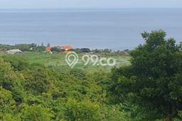 Untuk Dijual Tanah di Buleleng, Luas 1210m2 SHM Untuk Dijual Tanah di Buleleng, Luas 1210m2 SHM