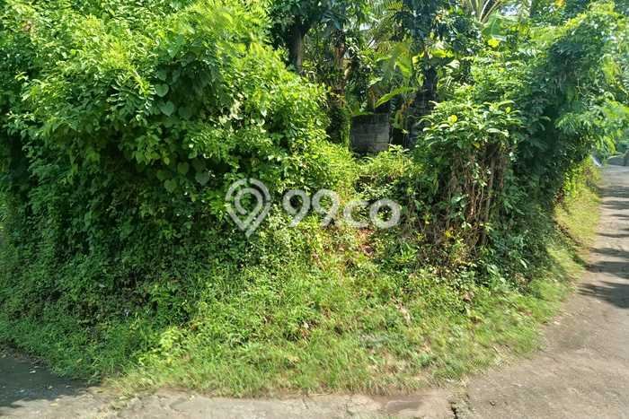 Lahan untuk Dijual di Gerokgak Buleleng Luas 5000m2 Lahan untuk Dijual di Gerokgak Buleleng Luas 5000m2