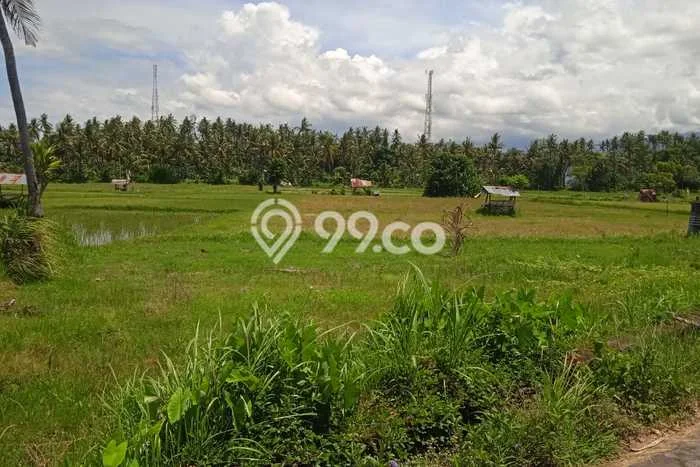 Untuk Dijual Tanah di Buleleng, Luas 3800m2 SHM Untuk Dijual Tanah di Buleleng, Luas 3800m2 SHM