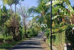 Tanah Dijual di Buleleng Seluas 2000m2 Strategis Tanah Dijual di Buleleng Seluas 2000m2 Strategis