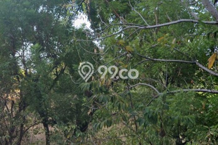 Lahan Kosong Dijual di Gerokgak, Buleleng, Luas 1000m2 Area Strategis Lahan Kosong Dijual di Gerokgak, Buleleng, Luas 1000m2 Area Strategis