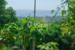 Tanah Kavling Dijual di Buleleng dengan Spesifikasi 2500m2 Tanah Kavling Dijual di Buleleng dengan Spesifikasi 2500m2