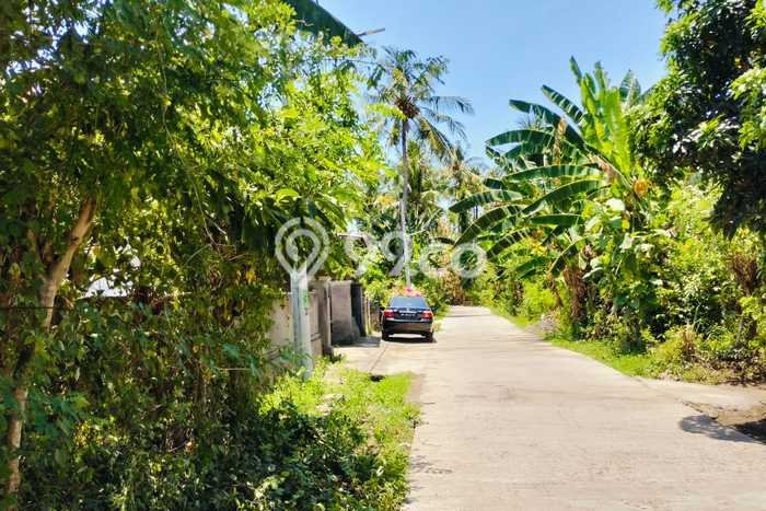 Lahan untuk Dijual di Gerokgak Buleleng Luas 5000m2 Lahan untuk Dijual di Gerokgak Buleleng Luas 5000m2