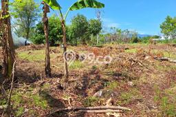 Tanah Dijual di Buleleng Seluas 1250m2 Strategis Tanah Dijual di Buleleng Seluas 1250m2 Strategis