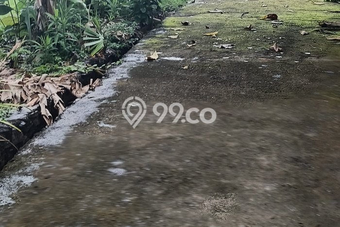Tanah Dijual di Buleleng Seluas 500m2 Strategis Tanah Dijual di Buleleng Seluas 500m2 Strategis