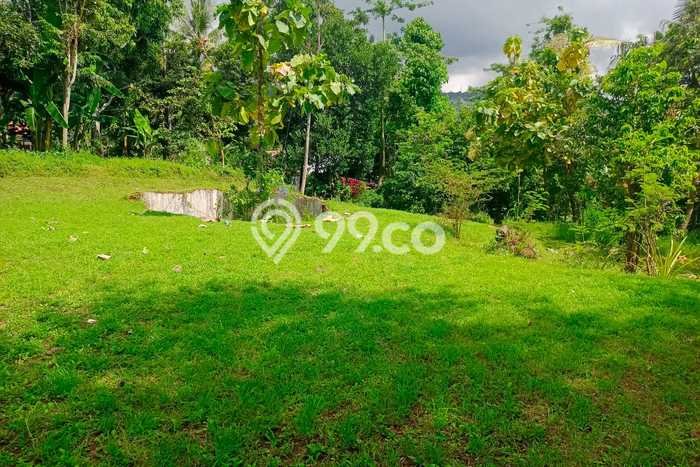 Tanah Kavling Dijual di Buleleng dengan Spesifikasi 2500m2 Tanah Kavling Dijual di Buleleng dengan Spesifikasi 2500m2