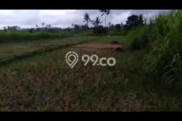 Lahan Investasi Lokasi Karangasem Karangasem SHM Lahan Investasi Lokasi Karangasem Karangasem SHM