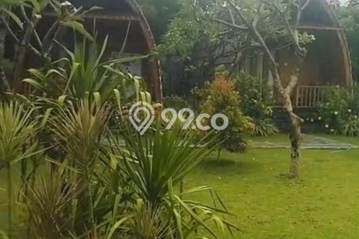 HARGA TERBAIK! Vila di Gerokgak, Area 1250m2m², Lokasi Prima HARGA TERBAIK! Vila di Gerokgak, Area 1250m2m², Lokasi Prima