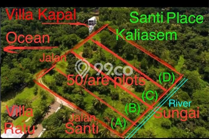 Tanah Kavling Dijual di Buleleng dengan Spesifikasi 5000m2 Tanah Kavling Dijual di Buleleng dengan Spesifikasi 5000m2