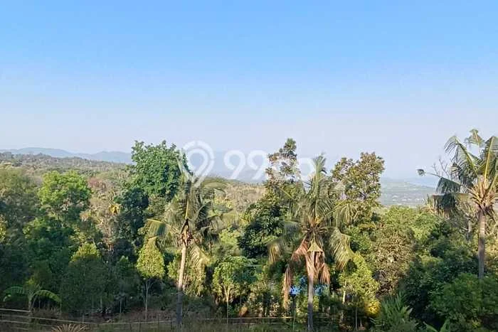 Lahan Dijual Lokasi Strategis di Buleleng dengan Luas 940m2 Lahan Dijual Lokasi Strategis di Buleleng dengan Luas 940m2