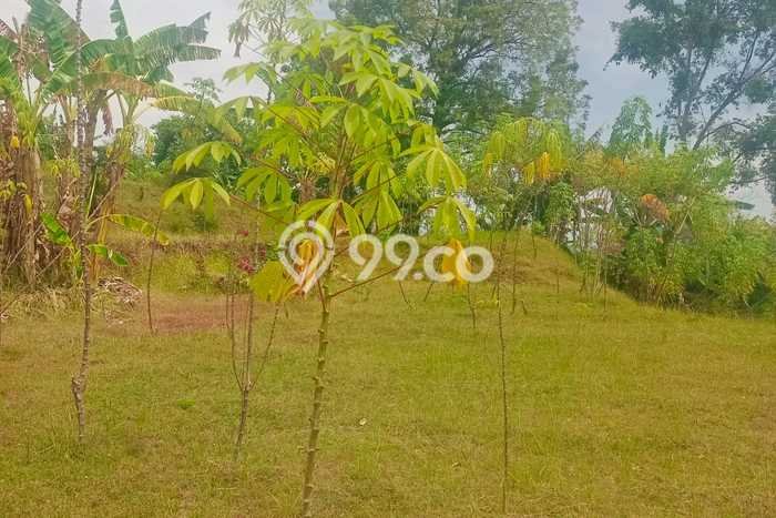 Lahan Dijual Lokasi Strategis di Buleleng dengan Luas 1200m2 Lahan Dijual Lokasi Strategis di Buleleng dengan Luas 1200m2